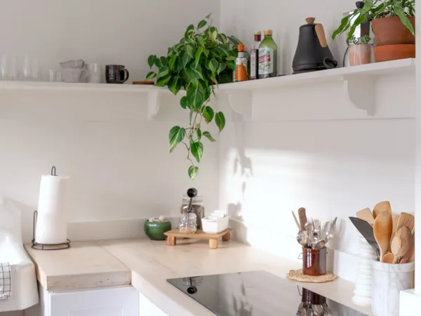 إزالة الدهون وتنظيف أسطح المطبخ